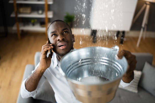 Best Water damage cleanup near me  in St Augustine South, FL