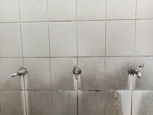 Best Fire Damage Restoration  in St Augustine South, FL