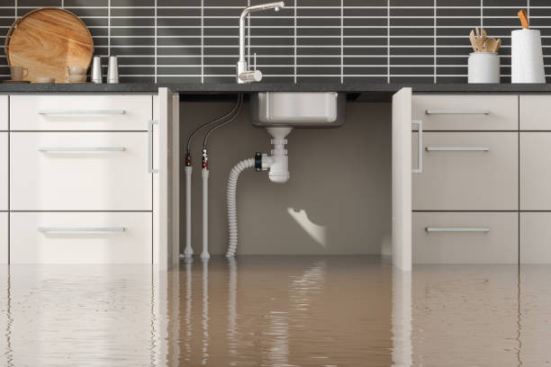 Best Commercial water damage restoration  in St Augustine South, FL
