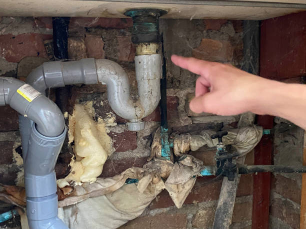 Best Flood restoration services  in St Augustine South, FL