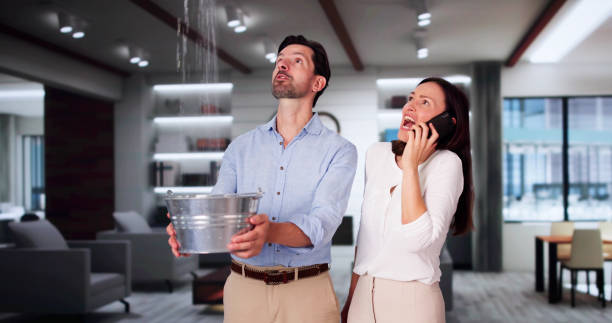 Best Ceiling water damage repair  in St Augustine South, FL